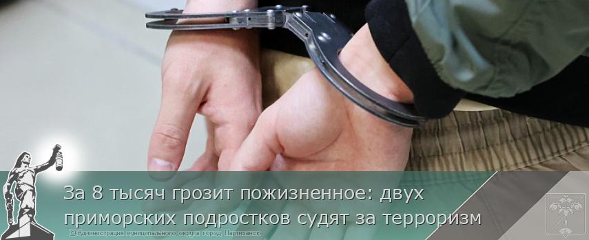 За 8 тысяч грозит пожизненное: двух приморских подростков судят за терроризм | Администрация муниципального округа город Партизанск Приморского края Официальный сайт
